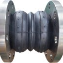 구성(쌍구) 이미지