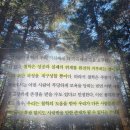 알랭 | 불안 (알랭드보통) 책 후기·추천 리뷰·핵심 요약 <불안한 삶 속에서 사랑받길 원한다면>