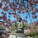 광성장(교보) 네이버블로그