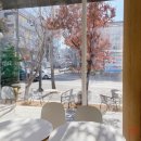 뉴라성호텔 | [CAFE] 아인슈페너 존맛 안산 상록구분위기좋은카페 바르바커피상록수점