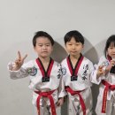 MJ태권도장 이미지