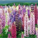 위로와 격려 이미지