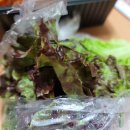 구미향조선족발