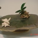 도예교실 이미지