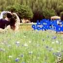 성남둔치 공영주차장(서편) 이미지