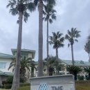 (주)지앤엘 더호텔제주 | [제주여행] 제주 서귀포 스위트호텔