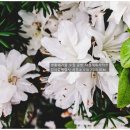 태전행정사사무소 이미지