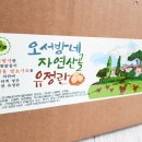 오서방네 농장 | 유정란과 무정란의 차이