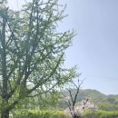 달길천 | 해든산악회 회원님 진안고원길 4구간 후기사진들~