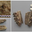 남원 유곡리와 두락리 고분군 이미지