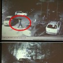 울산 동구에서 발생한 장기 미제사건이었던 '봉대산 불다람쥐' 사건 이미지