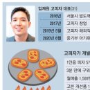 고피자 이미지