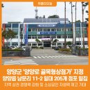 양양로 위클리오늘