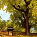 비밀정원 이미지