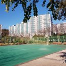 강정동-43 이미지