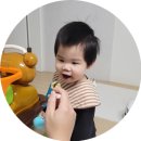 온마음푸드 | 이유식체험 12개월이유식 끝에 정착한 푸드케어 클레 무른밥 후기