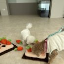 눈보뛰 프리미엄 이미지