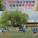광주 드림팀 광주일등뉴스