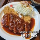 [부산/기장] 일광 맛집 또간집 하나돈까스 신메뉴 매운돈까스 들기름모밀 세트 후기