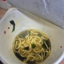 와카메 타쿠상 와사리다시 시오 컵라면 후기