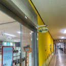 인천동막초등학교 이미지