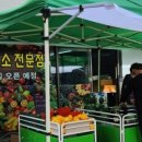 달구나청과 이미지