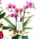 의왕대구전문 이미지