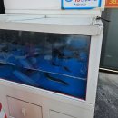 담양 죽녹원 근처 맛집 죽향풍전장어 특장어정식 내돈내산 후기