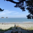 여수해변 | 여수 돌산 무슬목해변 카페 무슬소리 주말 방문 후기