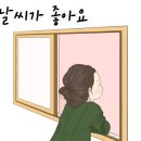 바나나 캠핑장 이미지