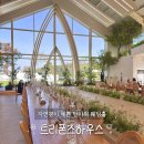 충렬로 | 양산 트리폰즈하우스 친오빠 본식후기