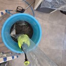 더케이약품 이미지