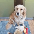 팔도세차장 이미지