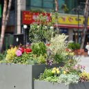 중앙광장 앞 이미지