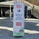 광명동굴 (코끼리차 주차장) 이미지