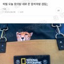 오늘옷