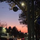 마장동본가뒷고기 | 연말초신경계