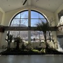 공간꽃조경 | 🌿 대구 동구 애견동반카페, 플로리스트가 만든 '정원 속 힐링 공간' 개업 대구 조경 후기!