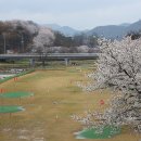 오곡 파크골프장 이미지