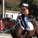 동부초등학교율포분교장 이미지