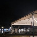 명당 스테이 | 경북 칠곡 개별 울타리 있는 애견 캠핑장 감동스테이 후기, 명당 사이트 추천