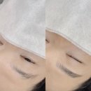 메이비브로우
