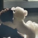 복정로118번길 | 앞으로 위례 갈 일 없겠지🥲