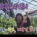 흥농상회 이미지