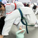 정문태권도 네이버블로그