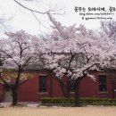 정독도서관 티스토리