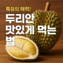 두리안 이미지