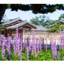 김해수로왕릉 이미지