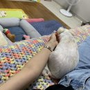 백설사 | 코놈에게 잡아먹혀도 정신만 차리면 또 코놈의 시대인 20년 여름 중 두달의 기록 중 첫번째