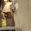 플래닛16 광안 | [광안리] 부산 광안리 핫플! 게스트하우스 '솔게스트하우스' 후기